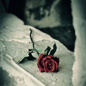 دانلود آهنگ داریوش به من نگو دوست دارم که باورم نمیشه کامل 320