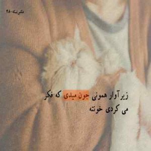 دانلود اهنگ علیرضا قربانی فکر زنجیری کنید ای عاقلان بوی گیسویی مرا دیوانه کرد