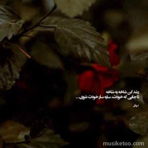 دانلود اهنگ شرمت باد ای دستی که بد بودی بدتر کردی (اورجینال)