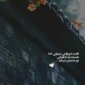 اهنگ قمارباز با صدای محسن چاوشی