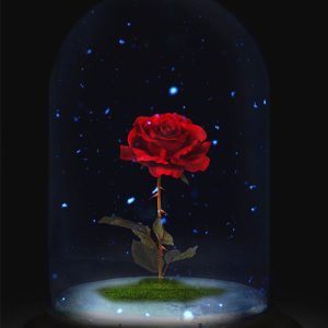 مداحی معروف حسین ستوده میشه بگی می بینمت یا نه