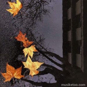 دانلود اهنگ آه اگر روزی نگاه تو ( نسخه با کیفیت )