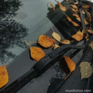 دانلود اهنگ بغض منی آه منی حسرت دلخواه منی علیرضا قربانی کیفیت اصلی 320